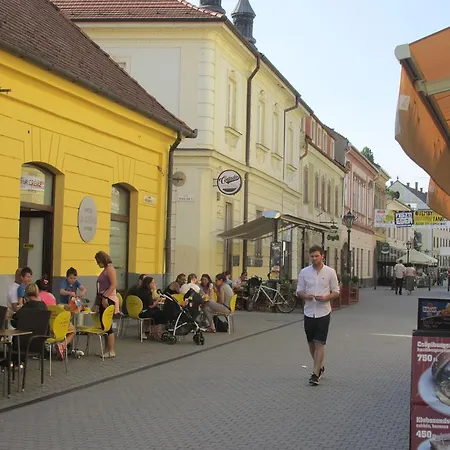 Fortuna Apartments Eger